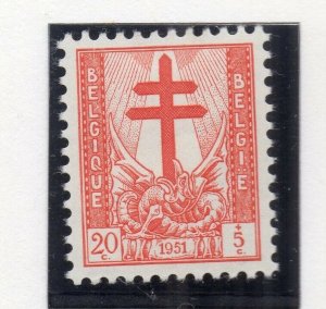 Belgium 1951 Early Issue Fine Mint Hinged 20c. NW-143070