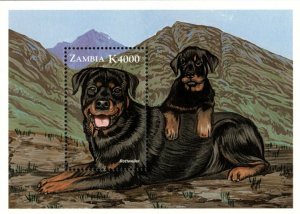 Zambia 1999 - Dogs of The World Rottweiler - Souvenir Sheet - Scott 811 - MNH