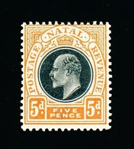 [NATAL] 1902-03 5d SG 134w / Inverted Watermark (MH)
