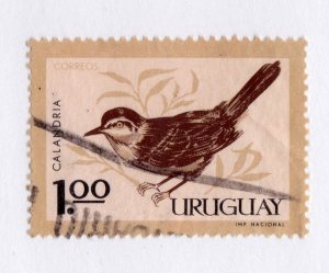 Uruguay      697              used