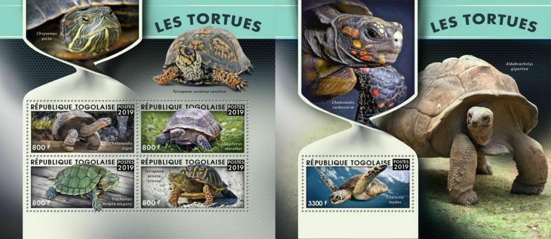 Z08 TG190127ab TOGO 2019 Turtles MNH ** Postfrisch