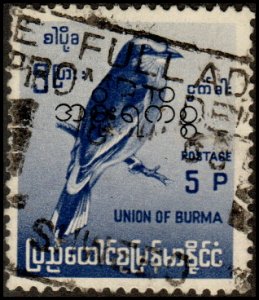 Burma 179 - Used - 5p Indian Roller (Perf 13.5) (1964)