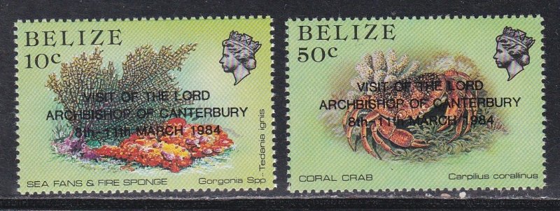 Belize # 715-716, Marine Life Stamps Overprinted, Mint NH, 1/2 Cat,