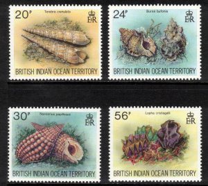 BIOT 1995 Sea Shells; Scott 172-75, SDG 176-79; MNH