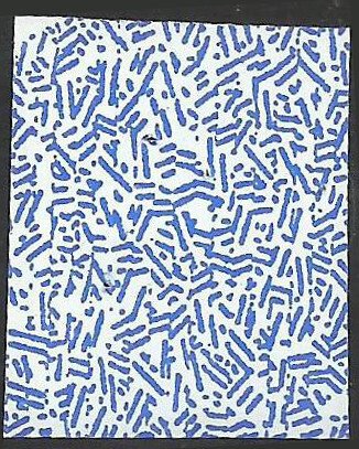 # 4945 Used Wise men still seek Jesus