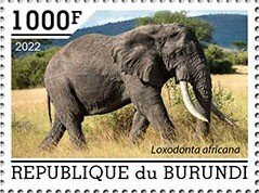 BURUNDI - 2022 - Elephants - Perf Single Stamp - Mint Never Hinged