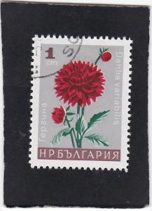 Bulgaria #1556 used