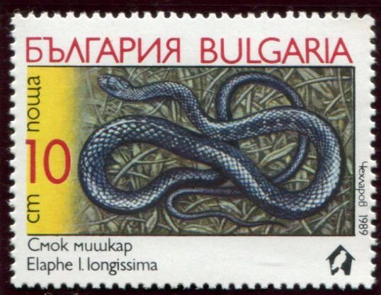 3491-3496 Bulgaria Snakes, Mint NG set of 6