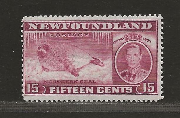 NEWFOUNDLAND  SC# 239  AVF/MOG