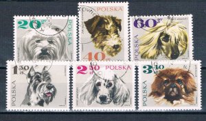 Poland 1636-21 Used Dogs 1969 (P0353)