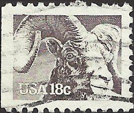 # 1880 USED BIGHORN SHEEP