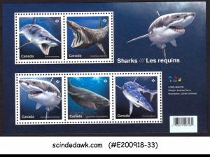 CANADA - 2018 SHARKS / FISH MARINE LIFE - MINIATURE SHEET MNH