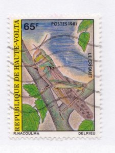 Burkina Faso         559            used