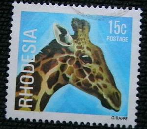 Rhodesia - 401 - Giraffe