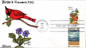 #1965 Illinois Birds - Flowers Combo Slyter FDC