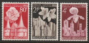 Belgium 1955 Sc 482-4 set MLH*