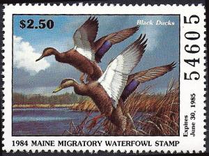 # 1 Mint Never Hinged  Maine Duck Stamp Nice A2975