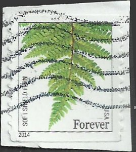 # 4875 USED SOFT SHEILD FERN
