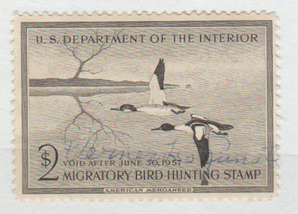 RW23 Hunting Permit Stamp 1956-57 American Merganser Duck Used Signed