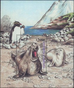 Chile #1340-1342, 1343, Complete Set(4), 2000, Birds, Whales, Polar, Never Hi...