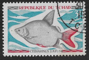 Chad #219 3fr Fish - Citharinus Latus