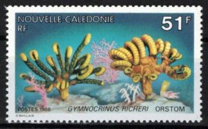 New Caledonia 580 MNH Marine Life Living Fossils ZAYIX 0524S0410