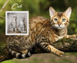 Liberia - 2022 Cat Breeds - Stamp Souvenir Sheet - LIB220106b1