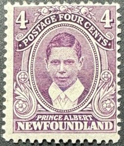 Newfoundland, Scott 107, Unused HR