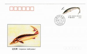 China PRC Sturgeon 1Y stamp commemorative cover 1994 (Acipenser dabryanus)