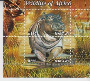 Malawi 2011 M/S Wildlife of Africa Animals Hippopotamus Mammal Nature Stamps MNH