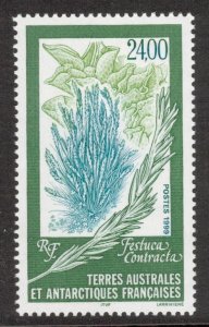 FRENCH ANTARCTIC 1999 Plants; Scott 255, Yvert 244; MNH