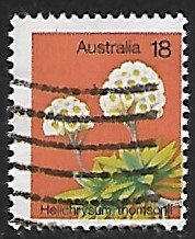 Australia # 564 - Helichrysum - Used....(GR5)