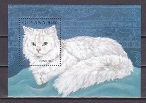 Guyana, Scott cat. 2592. Chinchilla Cat s/sheet.