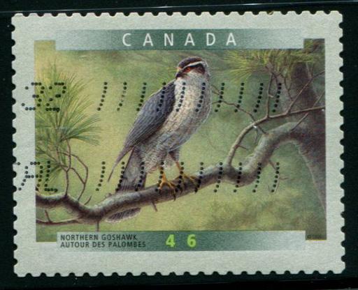 1774 Canada 46c Northern Goshawk SA, used