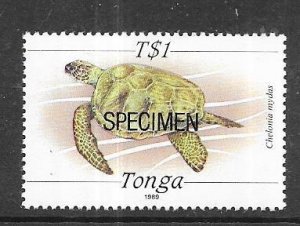 Tonga #705  Marine Life (MNH) specimen CV$7.25