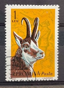 (3568) ROMANIA 1961 : Sc# 1431 BLACK GOAT AND MODERN HUNTER - VFU