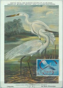 87592 - SOMALIA - Postal History - MAXIMUM CARD -  BIRDS  1960