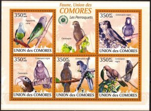 Comoro Islands 2009 Birds (7) Parrots Sheet MNH