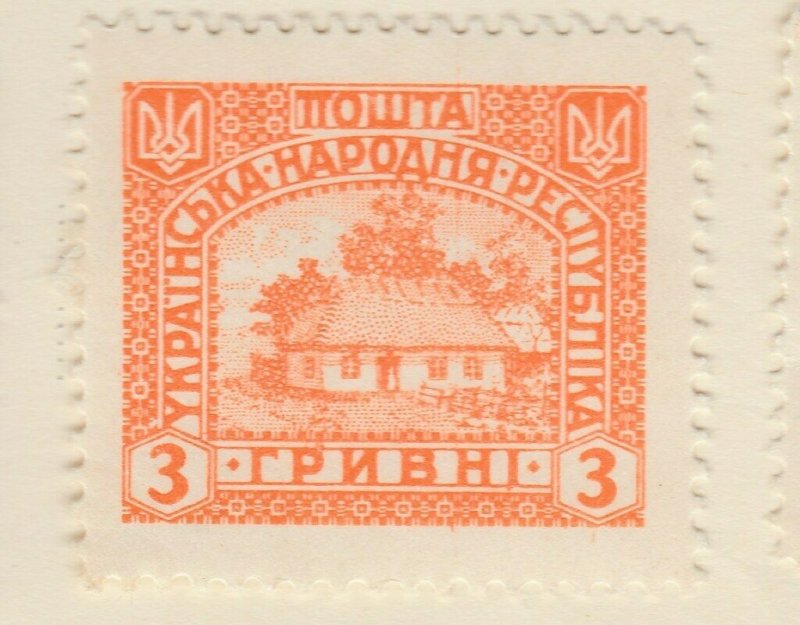 A6P6F19 Ucrania Ukraine 1920 unissued 3g mh