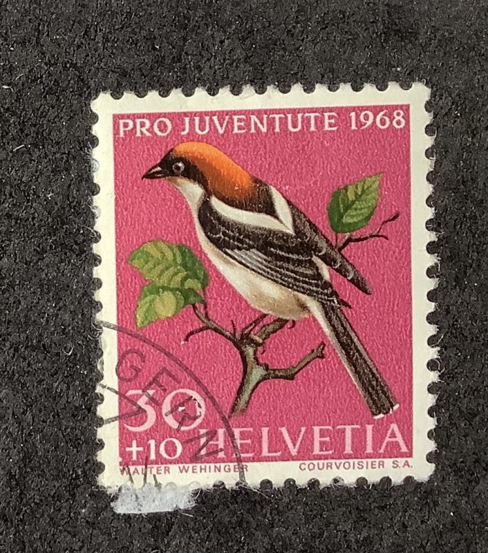 Switzerland 1968 Scott B380 used - 30 + 10c, bird, Shrike