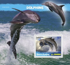 Sierra Leone - 2020 Bottlenose Dolphins - Stamp Souvenir Sheet - SRL200637b