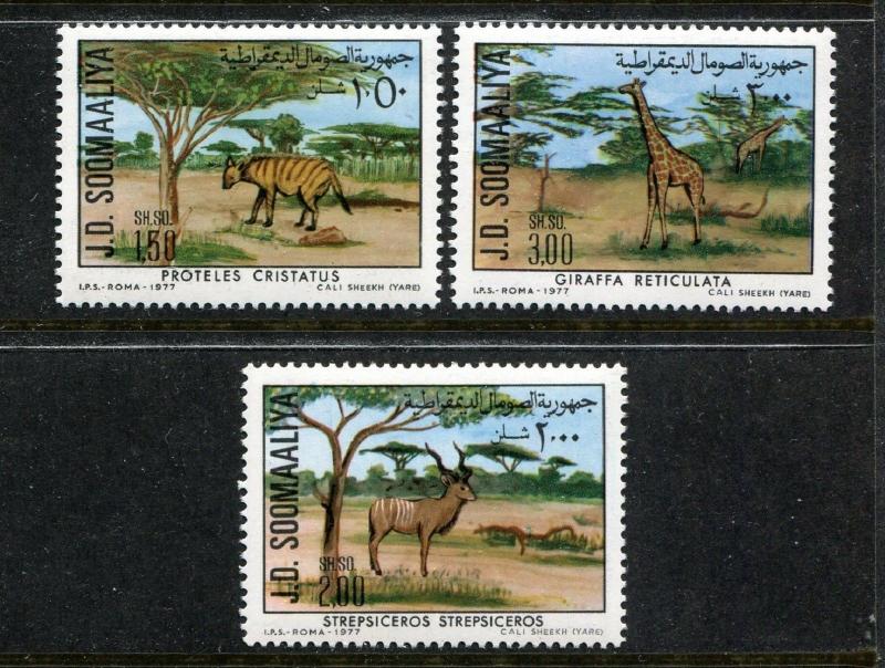 Somalia 447-449, MNH, Wild Animals Giraffe 1977. x27970