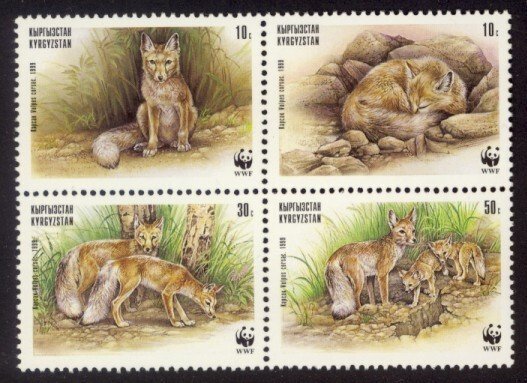 Kyrgyzstan Sc# 122 MNH WWF / Corsac Fox (Block of 4)