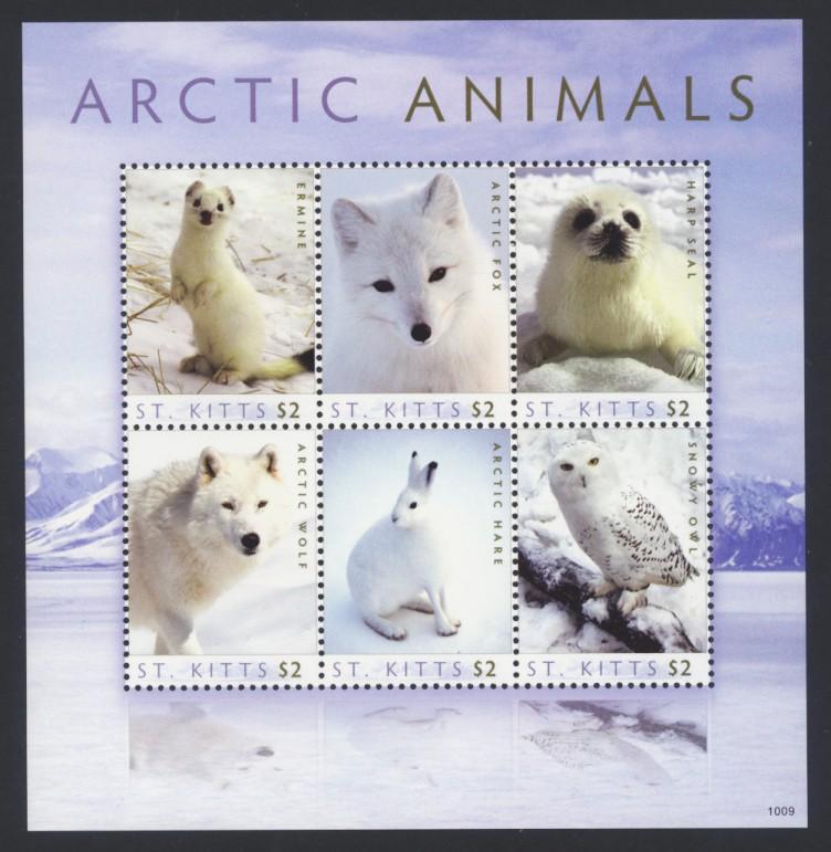 St. Kitts Sc# 765 MNH Arctic Animals (M/S)