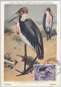 52632 - SOMALIA - MAXIMUM CARD - ANIMALS Birds STORK 1959-
