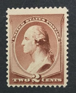 MOMEN: US #210 MINT OG NH POST OFFICE FRESH #29779