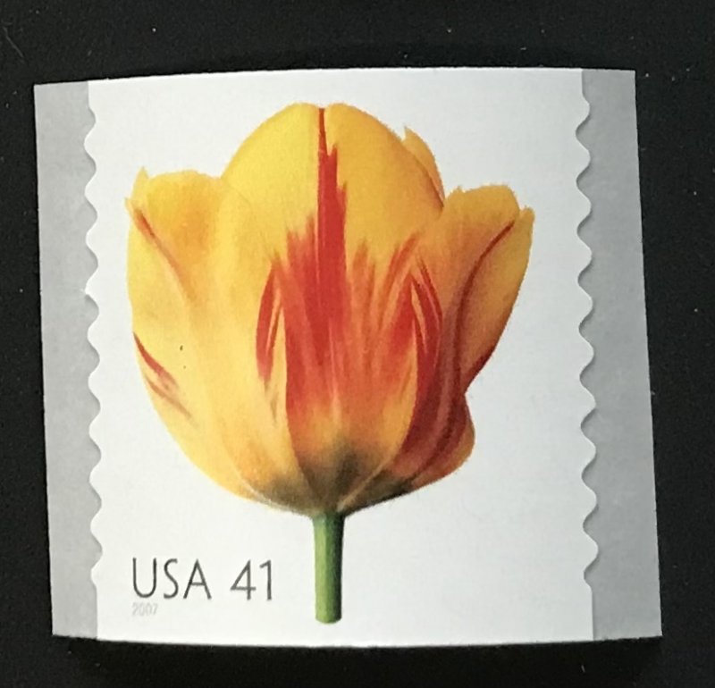 US MNH #4171 Coil Single Tulip Beautiful Blooms SCV $2.00