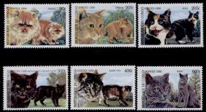 Congo MNH Domestic Cats