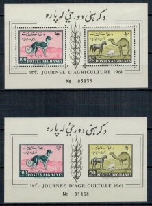Afghanistan 1961 MNH Stamps Souvenir Sheet Scott 493a Perf+Imperf Animals Camel