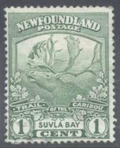 Newfoundland ~ #115 ~ Suvla Bay ~ Used